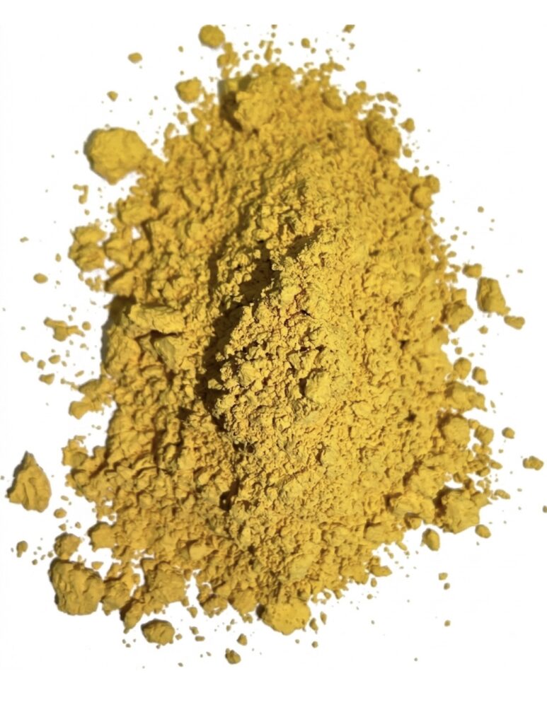 GS31 Sunflower Yellow Stain